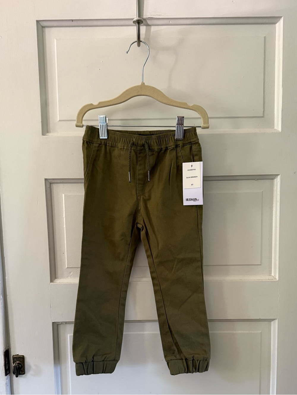 Hudson Olive Branch Joggers - 4T
